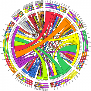 Relative % of each other's time